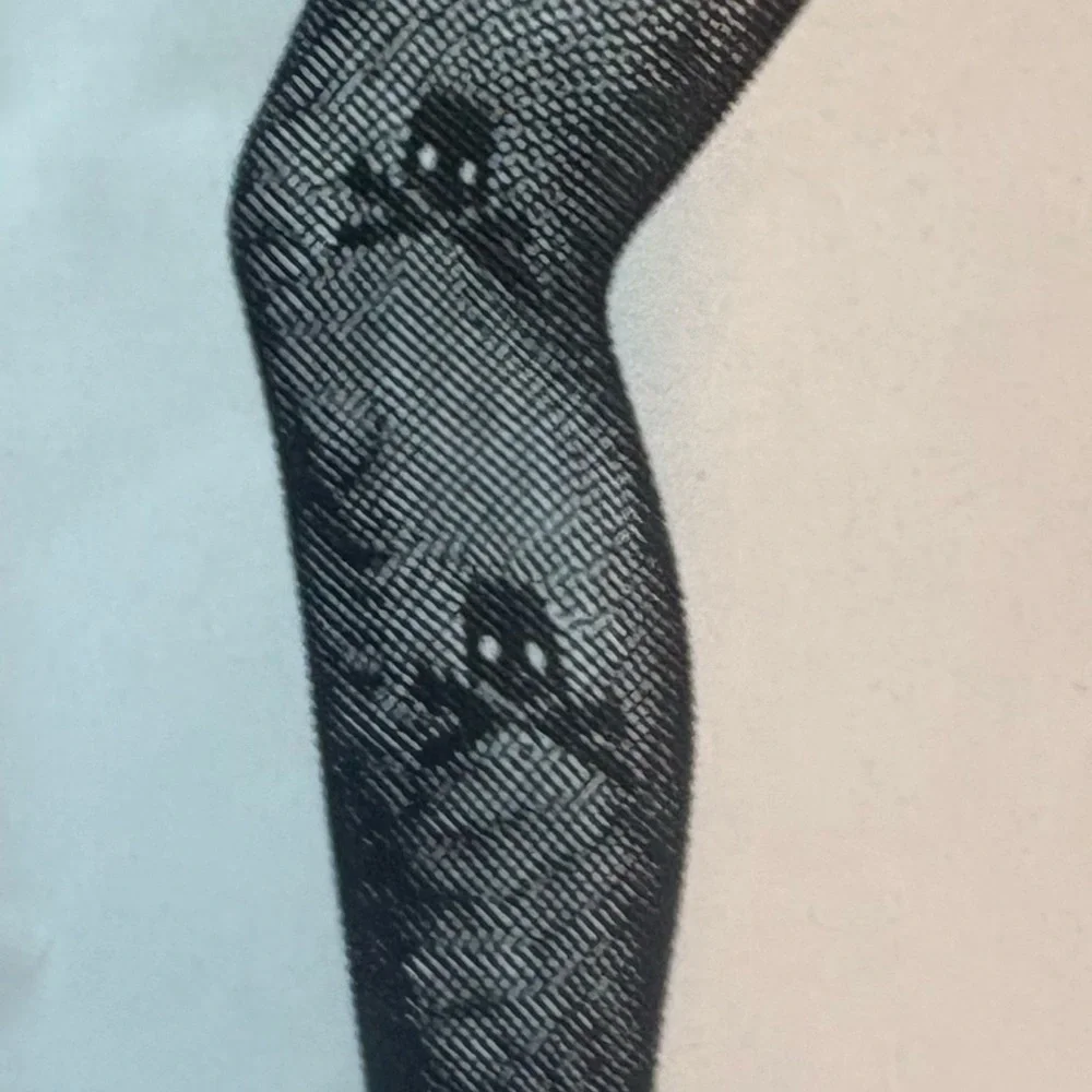 NWT Black Fishnet Stockings with Skull Design-Halloween
